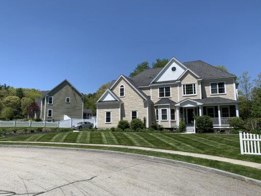 Lawn Maintenance