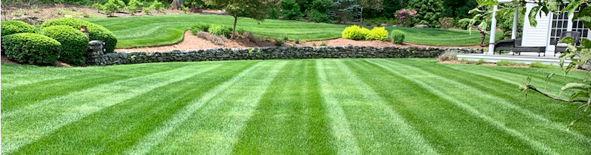 Lawn Fertilizer Service from twins Lawn Service serving Central MA