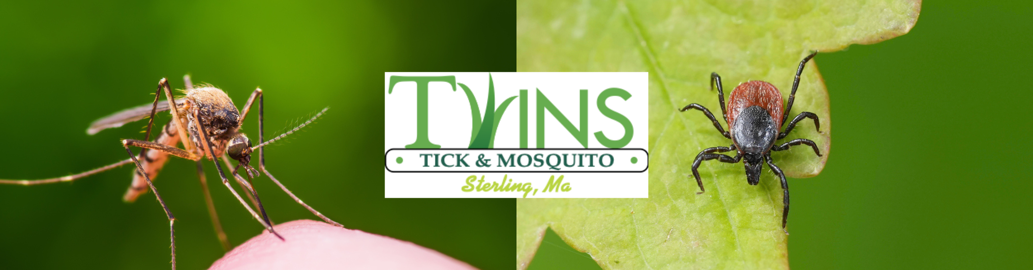 photos of mosquito and tick with Twins Mosquito & Tick Control Logo serving Central MA
