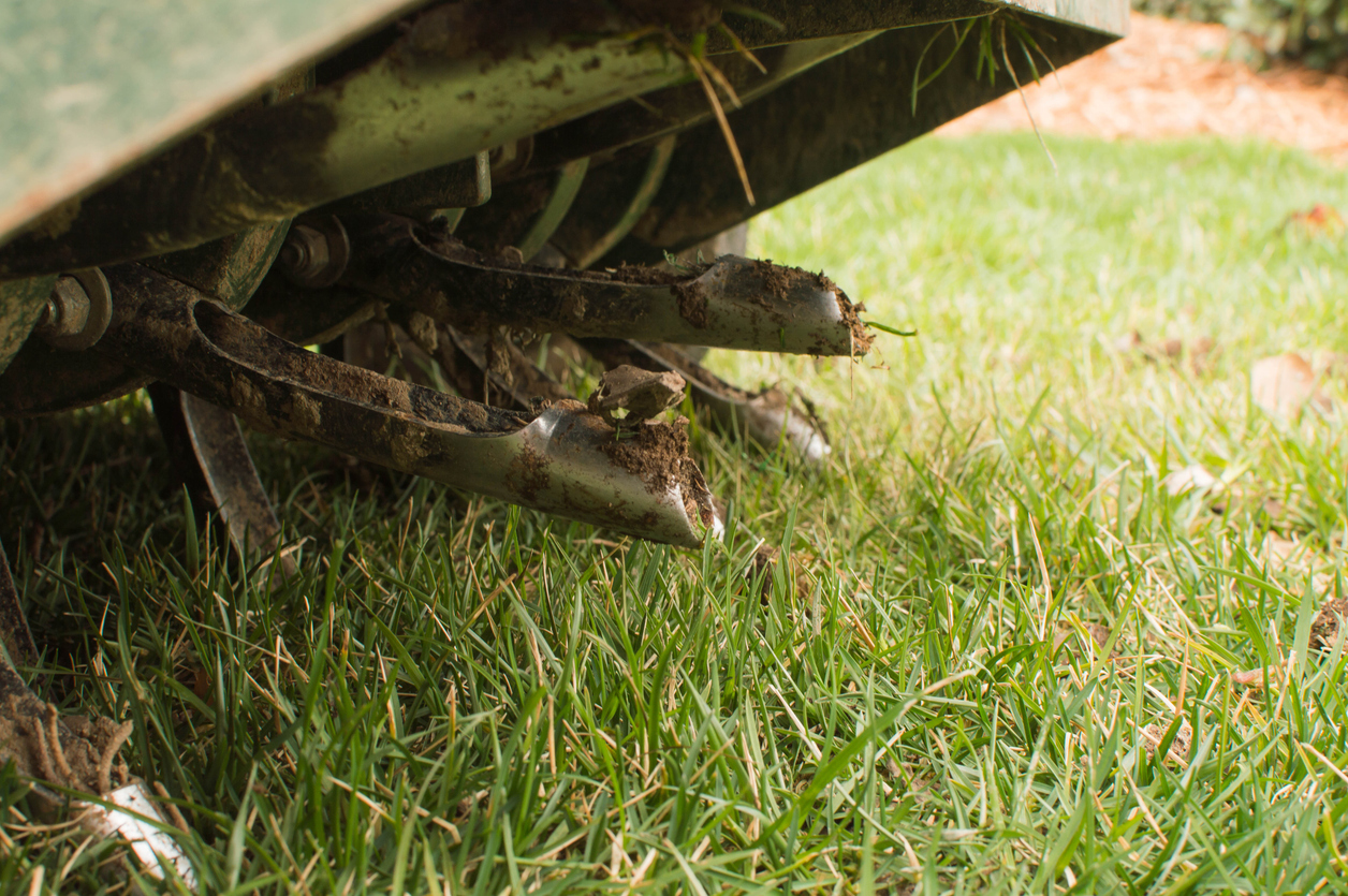 lawn aeration services in Worcester County from Twins Lawn Service